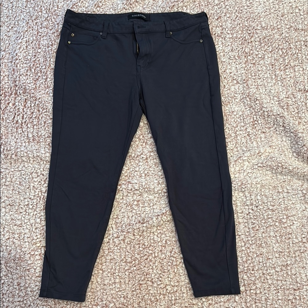 Liverpool Navy Stretch Skinny Pants